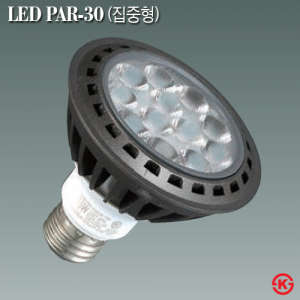 LED PAR-30 15W 램프 / 집중형